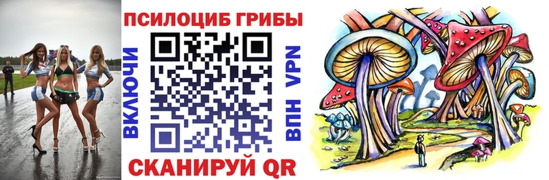 где купить   Петров Вал  Псилоцибиновые грибы прущие грибы 
